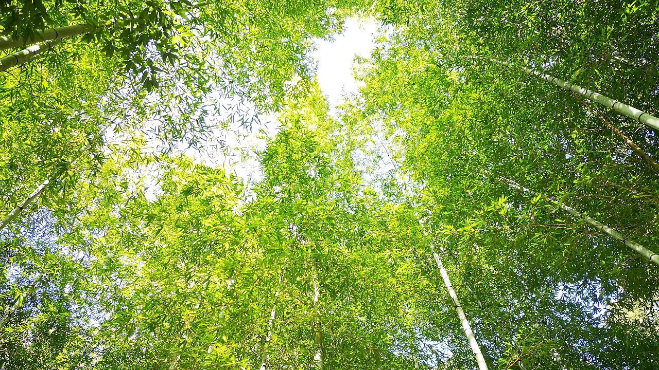 فندق Yugashima Tatsuta إيزو المظهر الخارجي الصورة